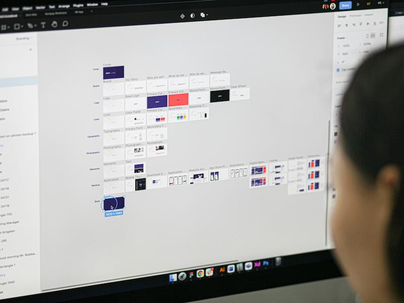 UX/UI Design Professional